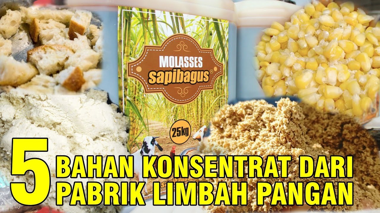 
                                 Konsentrat-Sapi-Limbah-Pabrik-Pangan